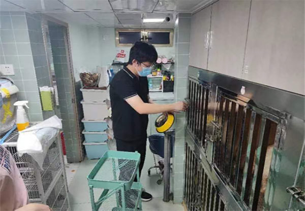 宠物管理项目通讯稿(1)421