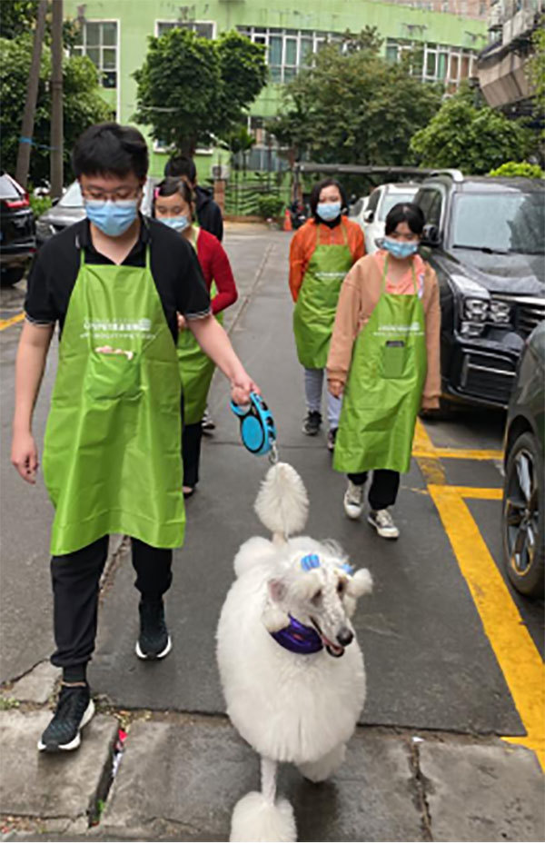 宠物管理项目通讯稿(1)323