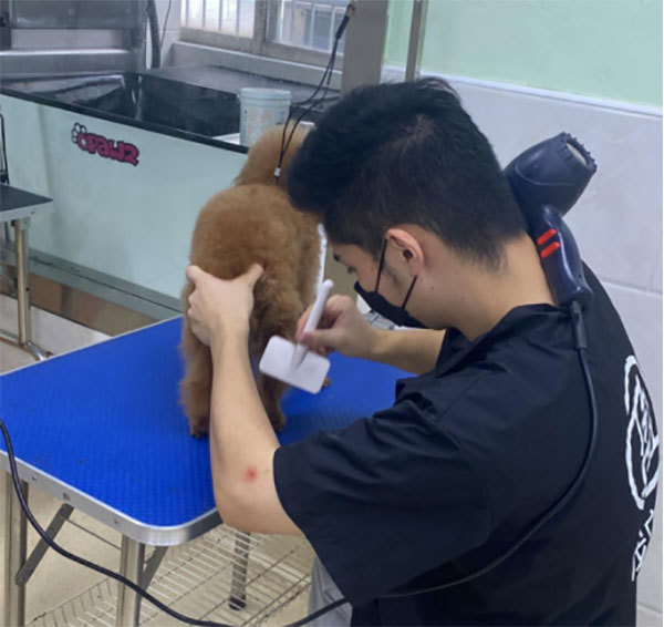 宠物管理项目通讯稿(1)872
