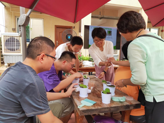 康复者在学习种植心叶球兰