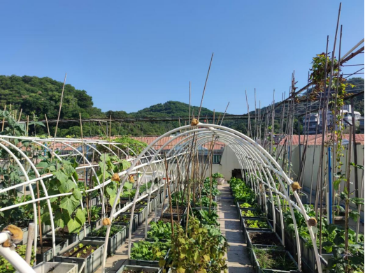 绿化园艺训练557