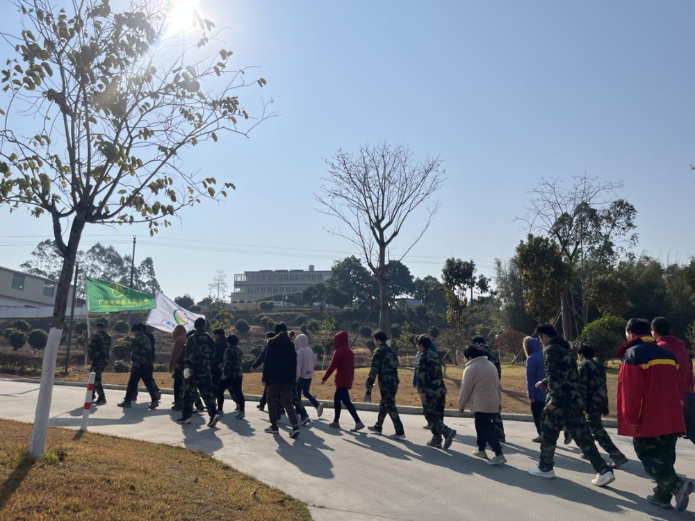 图片7