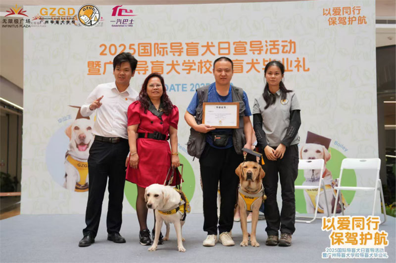 广州导盲犬学校毕业典礼：以爱同行，保驾护航712