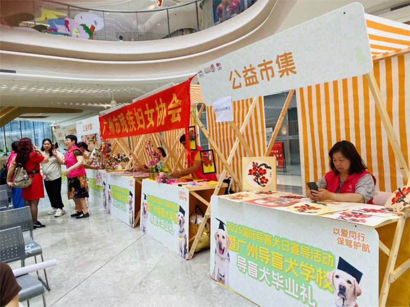 广州导盲犬学校毕业典礼：以爱同行，保驾护航720