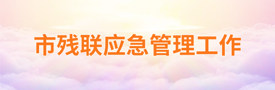 市残联应急管理工作